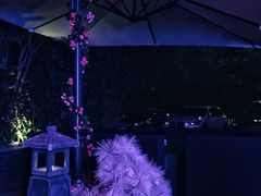 景观位-啤仕多·啤客国潮跳舞BAR(保俶路店)