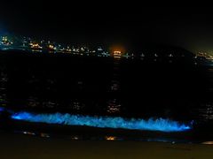 -枸杞岛