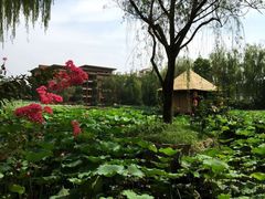 -天赐温泉