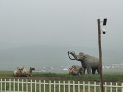 -186彩带河
