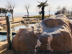-青岛海泉湾度假区温泉