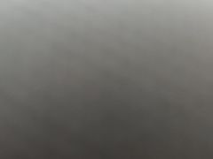 -东园小馆·早茶·淮扬小炒(江都路店)