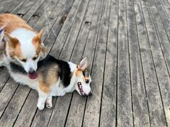 -桤木河湿地公园