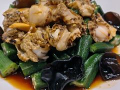 捞汁秋葵扇贝-隆喜元鱼汤包·海鲜(中联广场店)