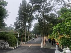 -东澳岛