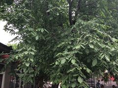 大堂-十三陵山水雅园农家院
