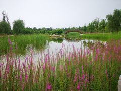 -张家湾公园