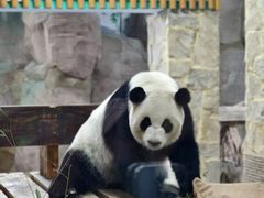 -无锡动物园·太湖欢乐园