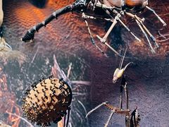 -宁波科学探索中心