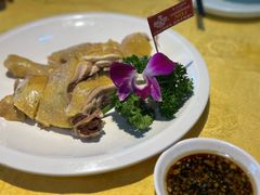 招牌湛江白切鸡-新高记·粤菜·湛江鸡(南头古城店)
