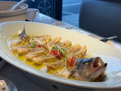 -东方早茶 海鲜•青岛菜(国信体育中心店)