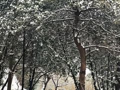 -白水寺森林公园