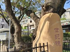 -石炮台公园