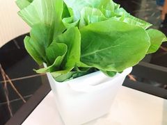 青菜-润园四季椰子鸡火锅(海上世界店)
