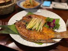 -紫滇源云南生态菜(丹凤街店)