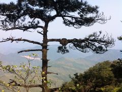 -浙东大峡谷风景区