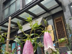 -川渝窈妹纸包鱼·齐齐哈尔烤肉