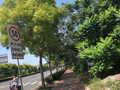 -双榆树公园
