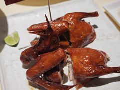 非遗红烧乳鸽-侨美食家·粤菜(体育西路店)