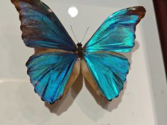 -吉林省自然博物馆