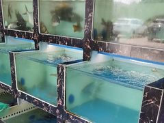 -众味海鲜大排档·活海鲜·潮汕味(南澳店)