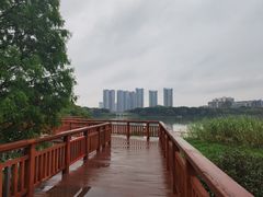 -广东花都湖国家湿地公园