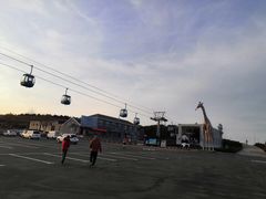 -天鹅湖生态旅游风景区