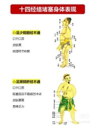 -香薇妮丝女子减肥院