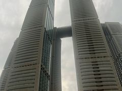 -陈有良尖椒鸡(渝中旗舰店)