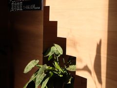 -CAT’S MEWSTAR CAFE·喵星球猫屋(晴湾咖啡店)