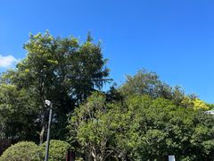 -扬州瘦西湖温泉