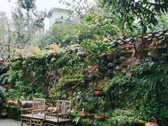 -青城甲(青城山店)