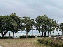 -深圳湾公园(南山区)