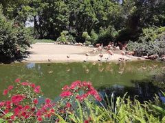 -广州长隆飞鸟乐园