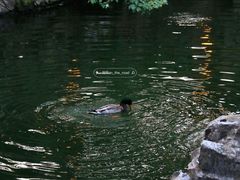 -苏州上方山国家森林公园