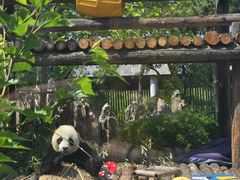 -大连森林动物园