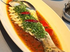 -兴隆·小隆台·温岭菜