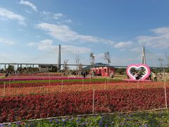-芒洲湿地公园