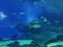 -福州罗源湾海洋世界旅游区