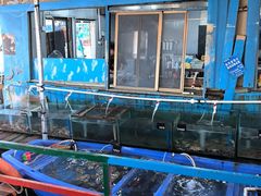 -蓝湾碧波·老字号·疍家非遗海上餐厅