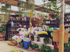 -秦美花卉(天朗·莱茵小城2期店)