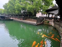 -乌镇景区