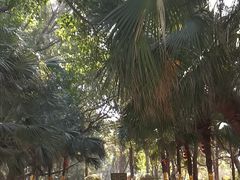 -宋井风景区