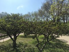 -玲珑塔公园