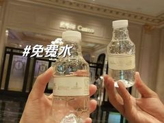 -澳门威尼斯人综合度假区
