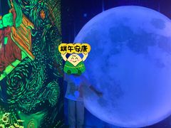 -梵高星空艺术馆(北京旗舰店)