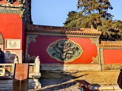-北陵公园