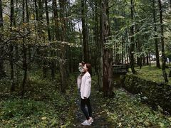 -黎坪国家森林公园