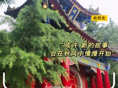 -西安市广仁寺