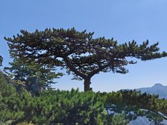 -圣莲山风景区